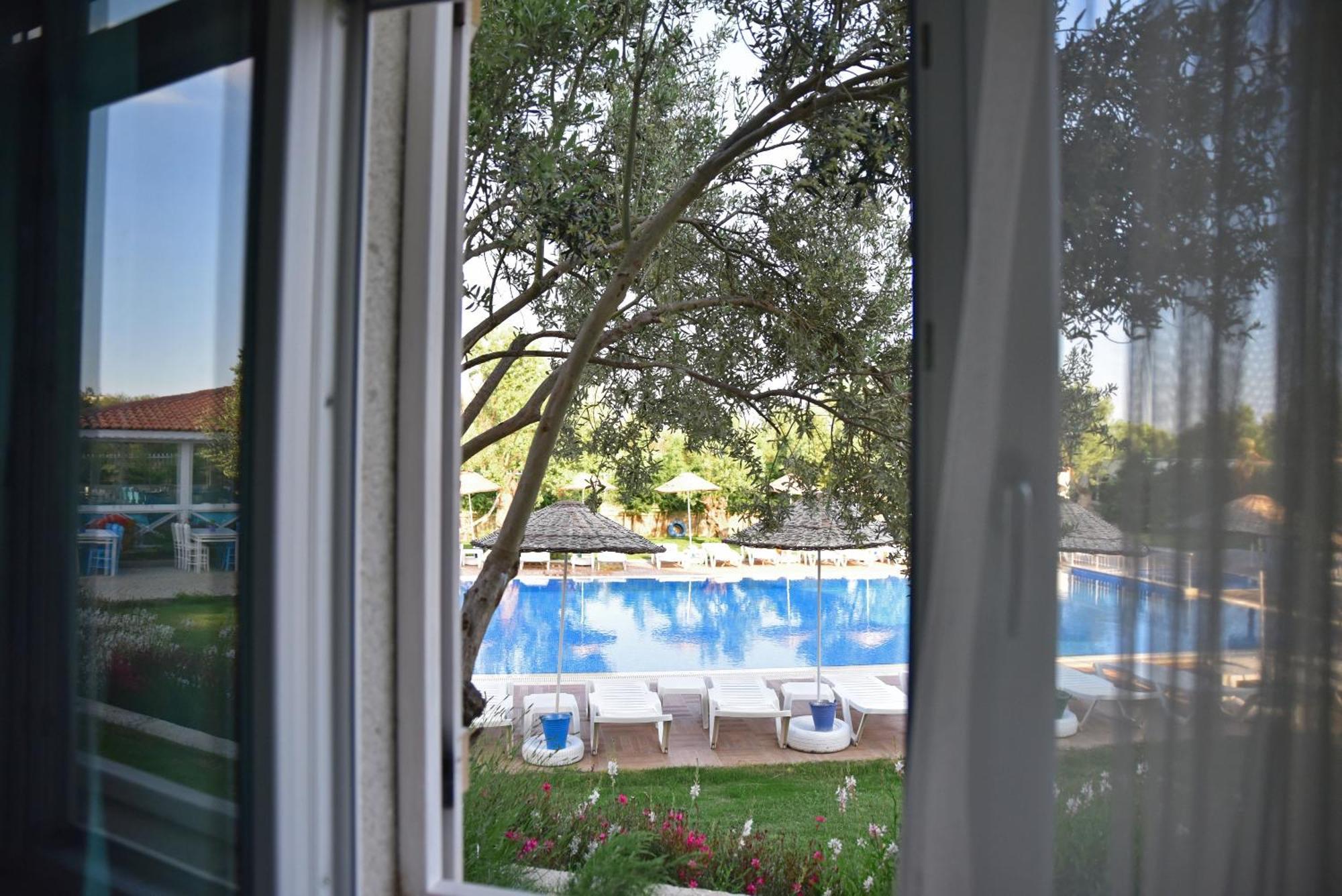 Zeytin Arasi Apart Otel Ayvalı Cameră foto