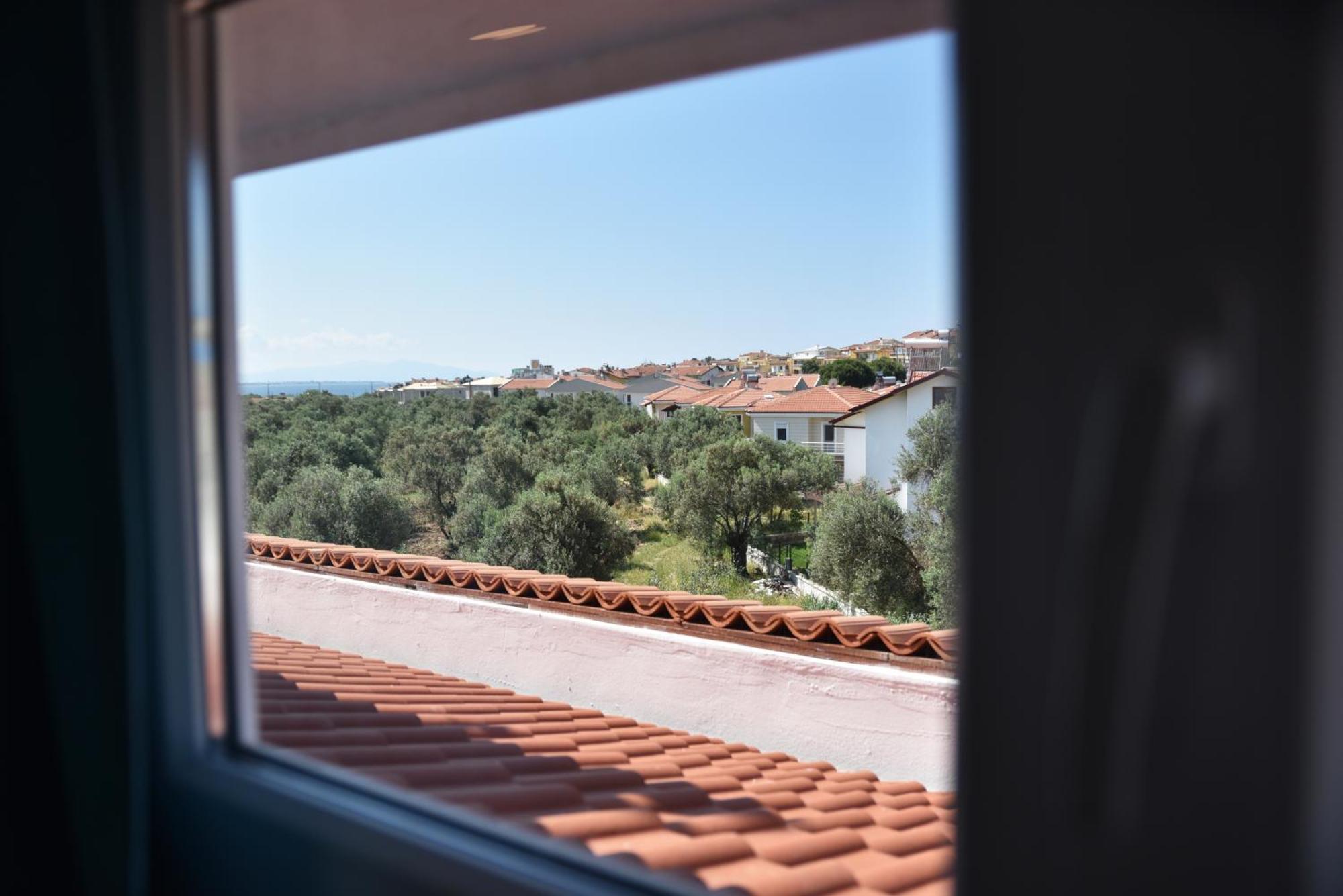 Zeytin Arasi Apart Otel Ayvalı Cameră foto